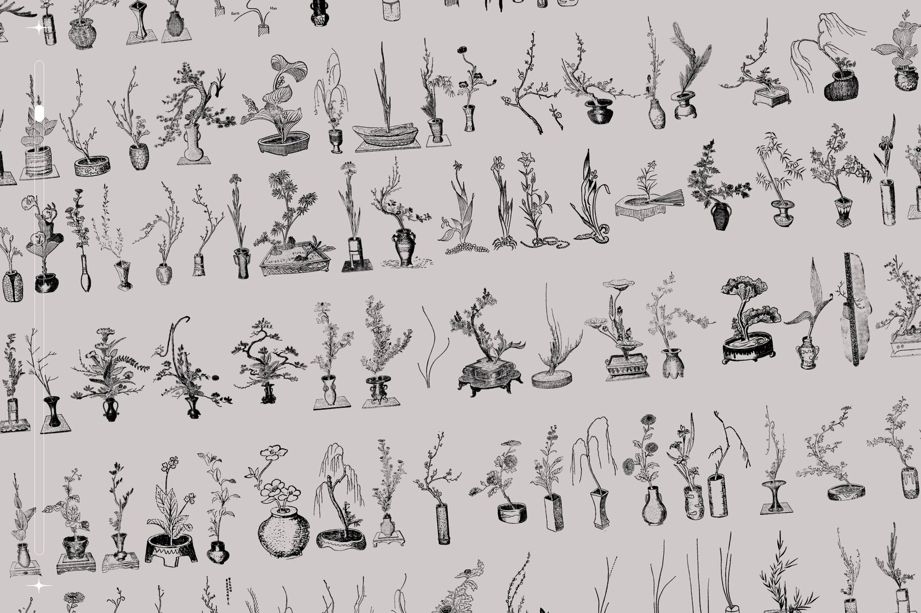 Ikebana Botanical Illustration Set 5