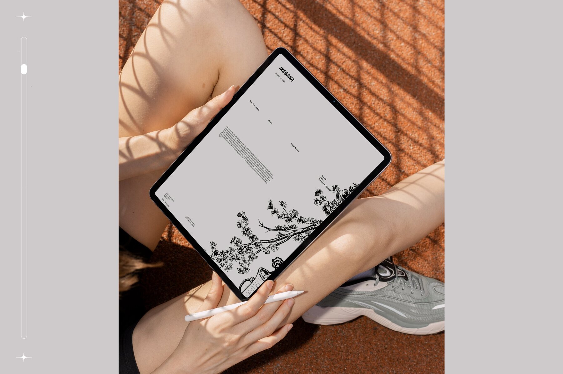 Ikebana Botanical Illustration Set 7