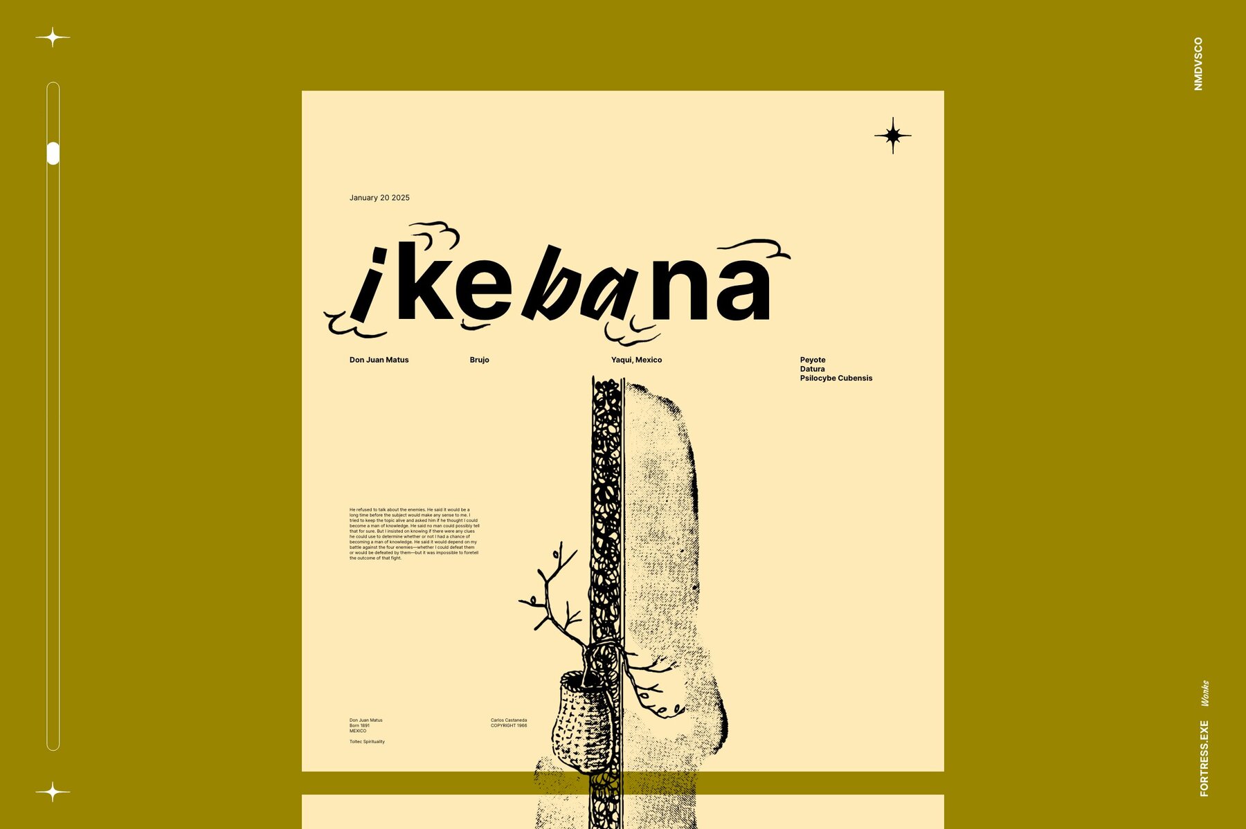 Ikebana Botanical Illustration Set 8