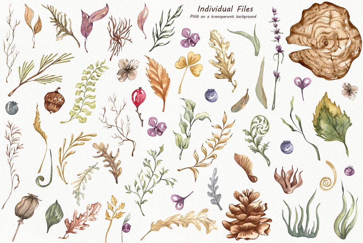 Watercolor Botanical Forest Set 4