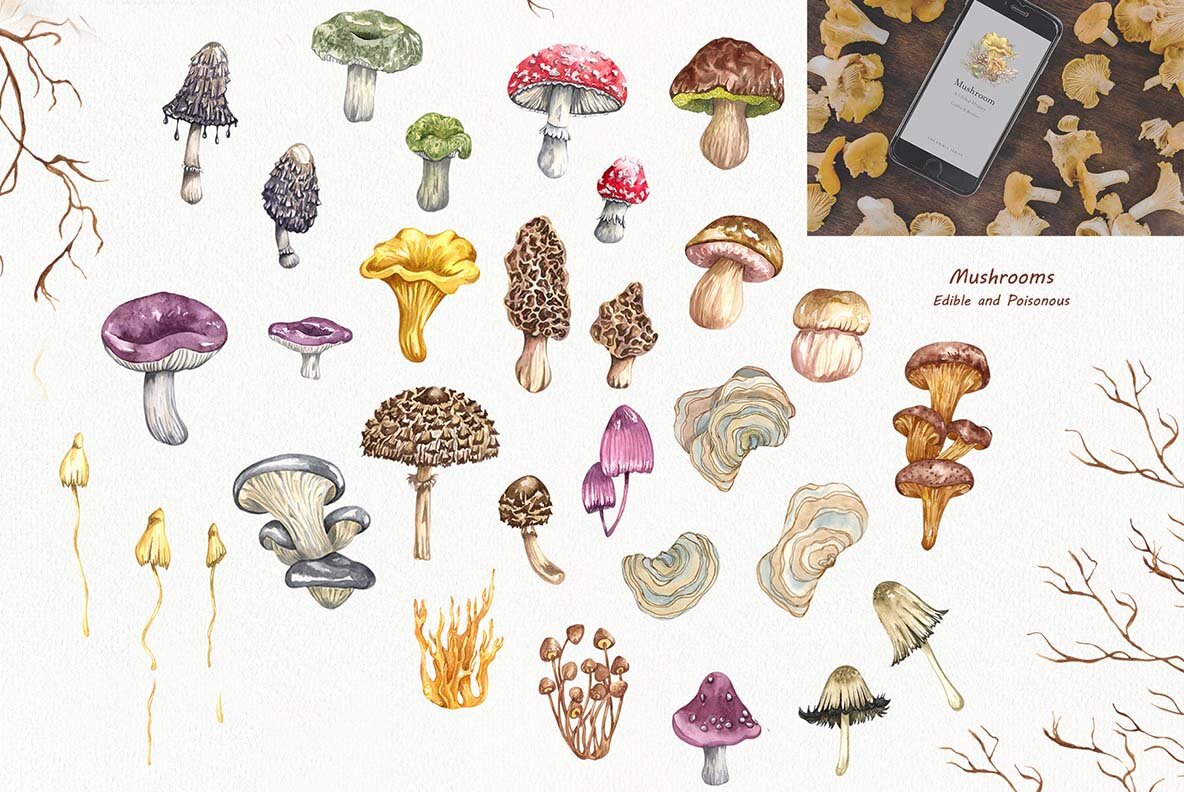 Watercolor Botanical Forest Set 6