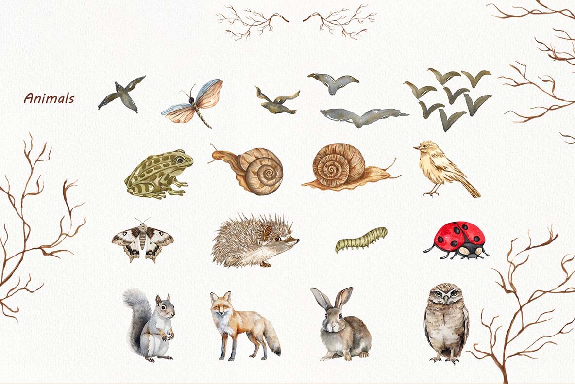 Watercolor Botanical Forest Set 7