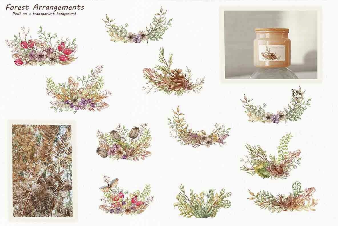 Watercolor Botanical Forest Set 8