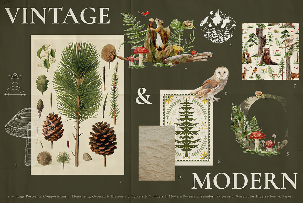 Enchanted Forest Watercolor Collection 7