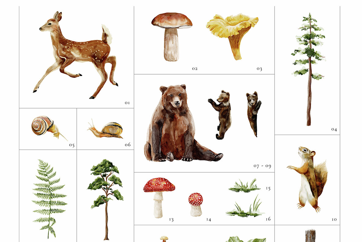 Enchanted Forest Watercolor Collection 9