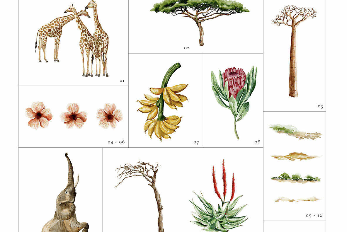 Savanna Serenade Watercolor Collection 9