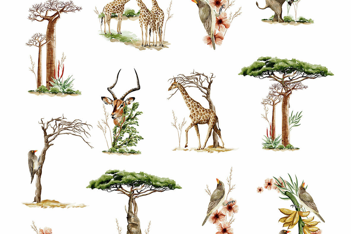 Savanna Serenade Watercolor Collection 19