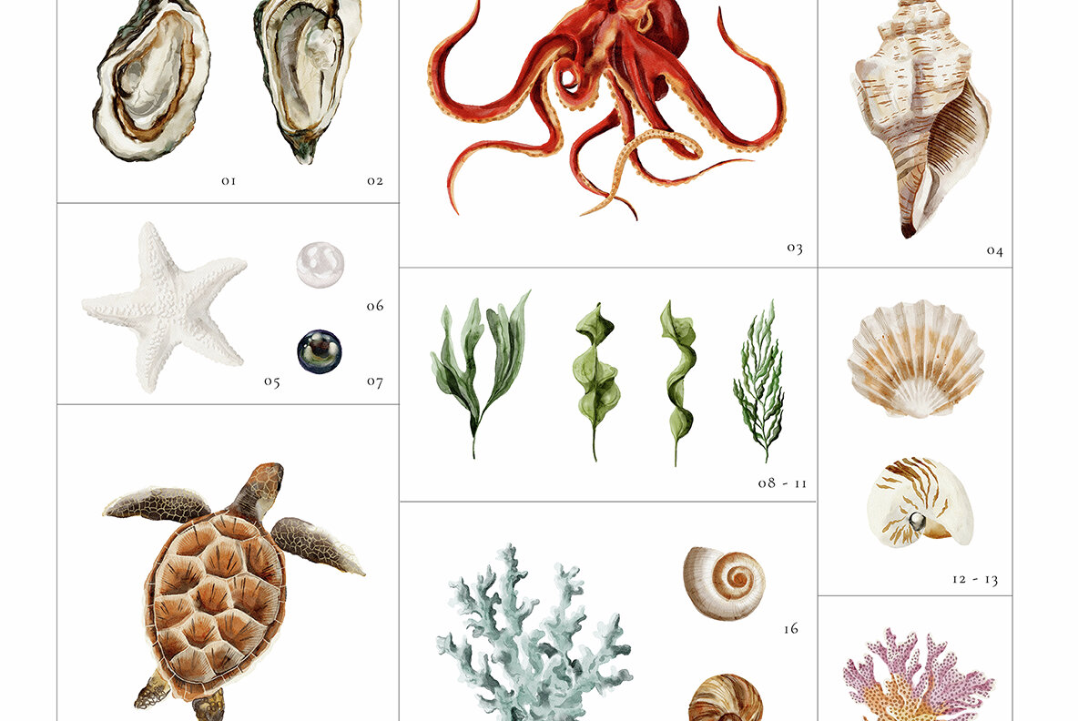 Underwater Watercolor Ocean Collection 9