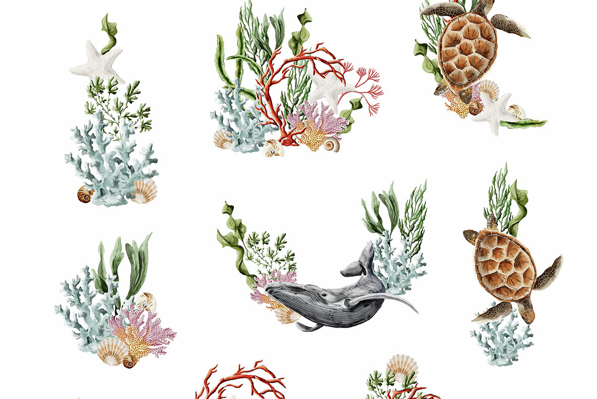 Underwater Watercolor Ocean Collection 19