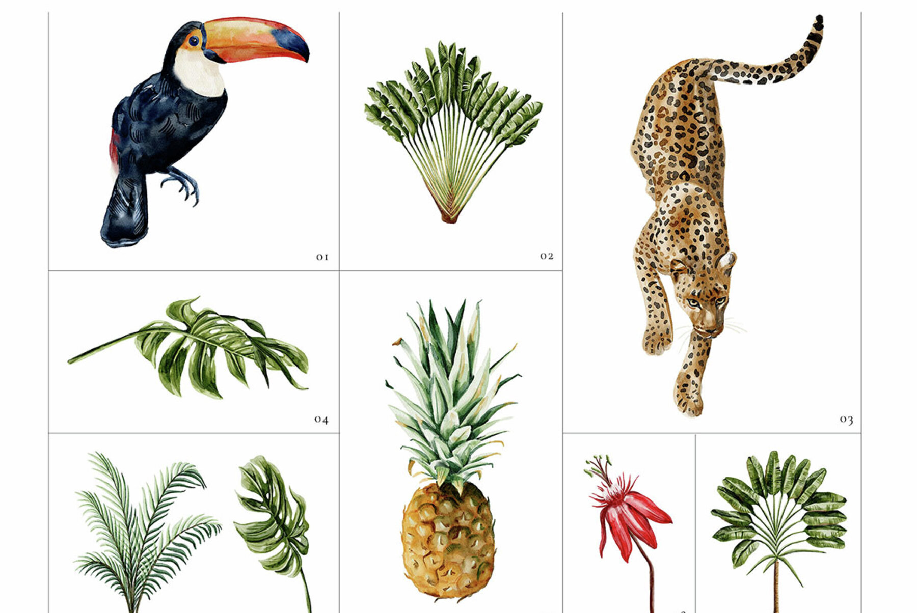 Jungle Luxe Watercolor Tropical Collection 9