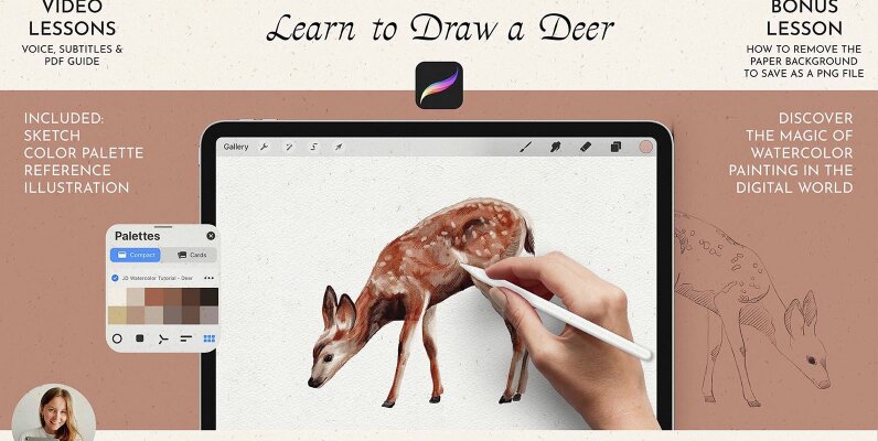Realistic Watercolor in Procreate Tutorial Deer