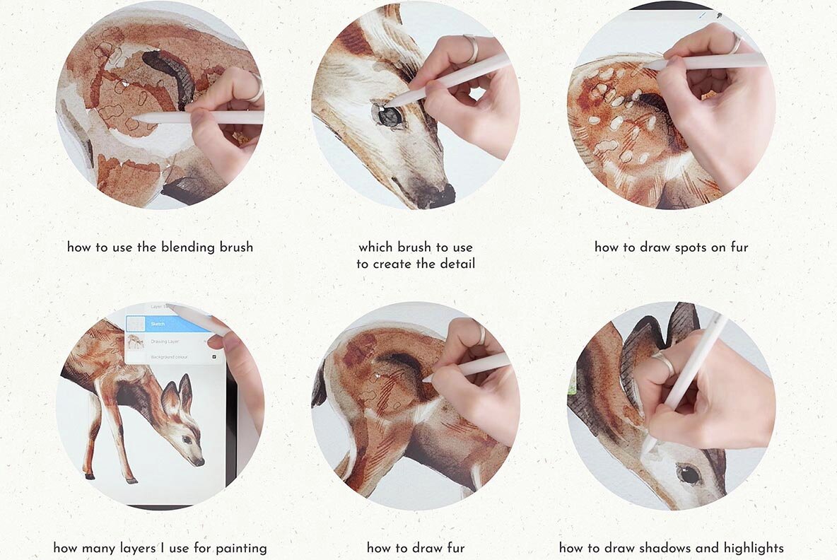 Realistic Watercolor in Procreate Tutorial Deer 4