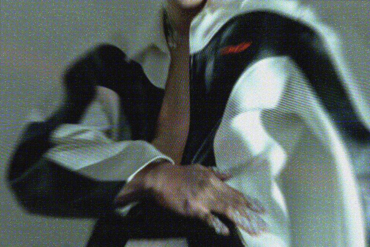 Retro Screen Flicker Photo Effect 6