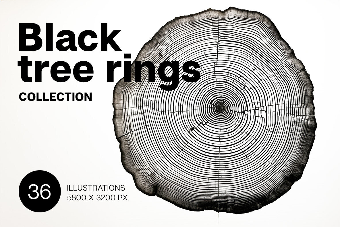 Black tree rings 1