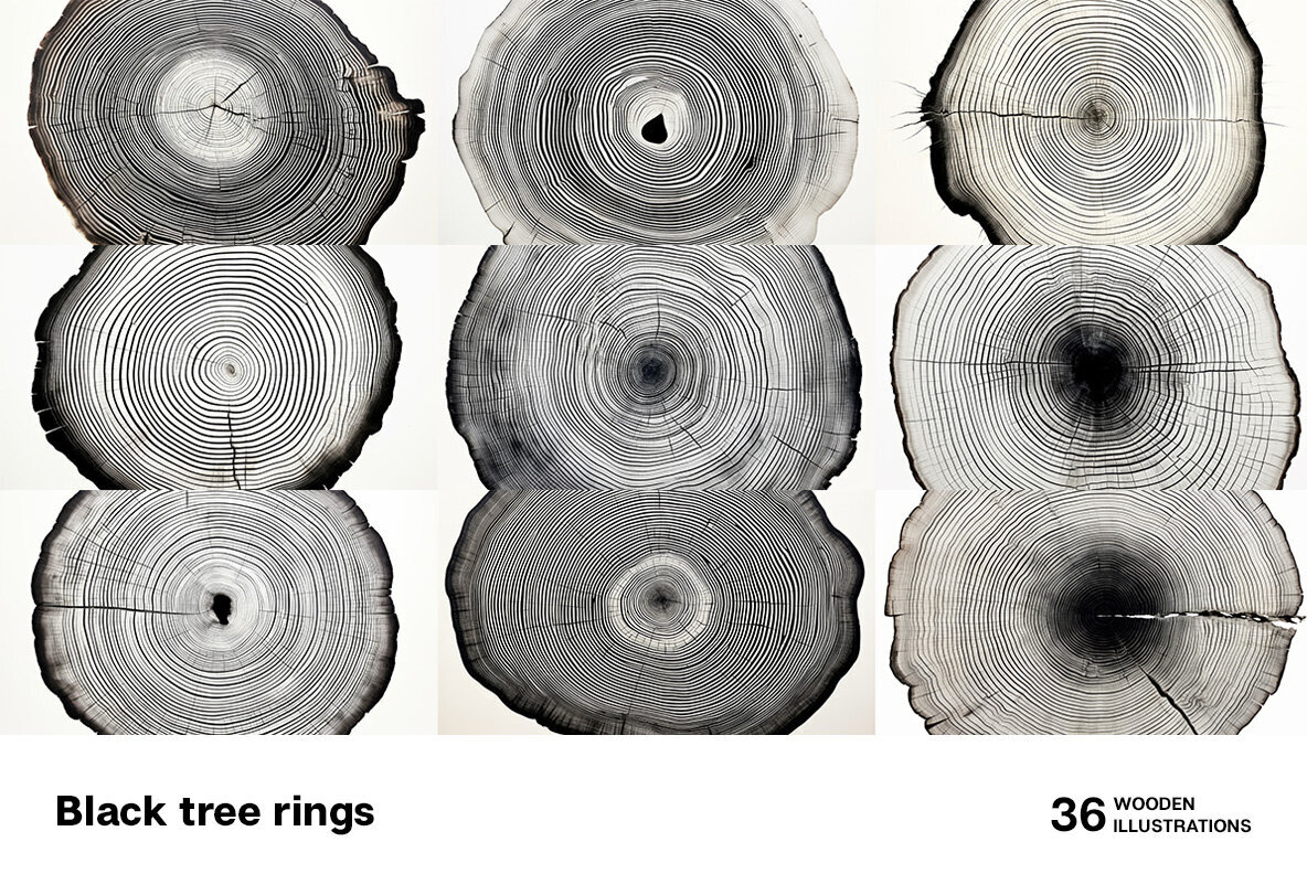 Black tree rings 2