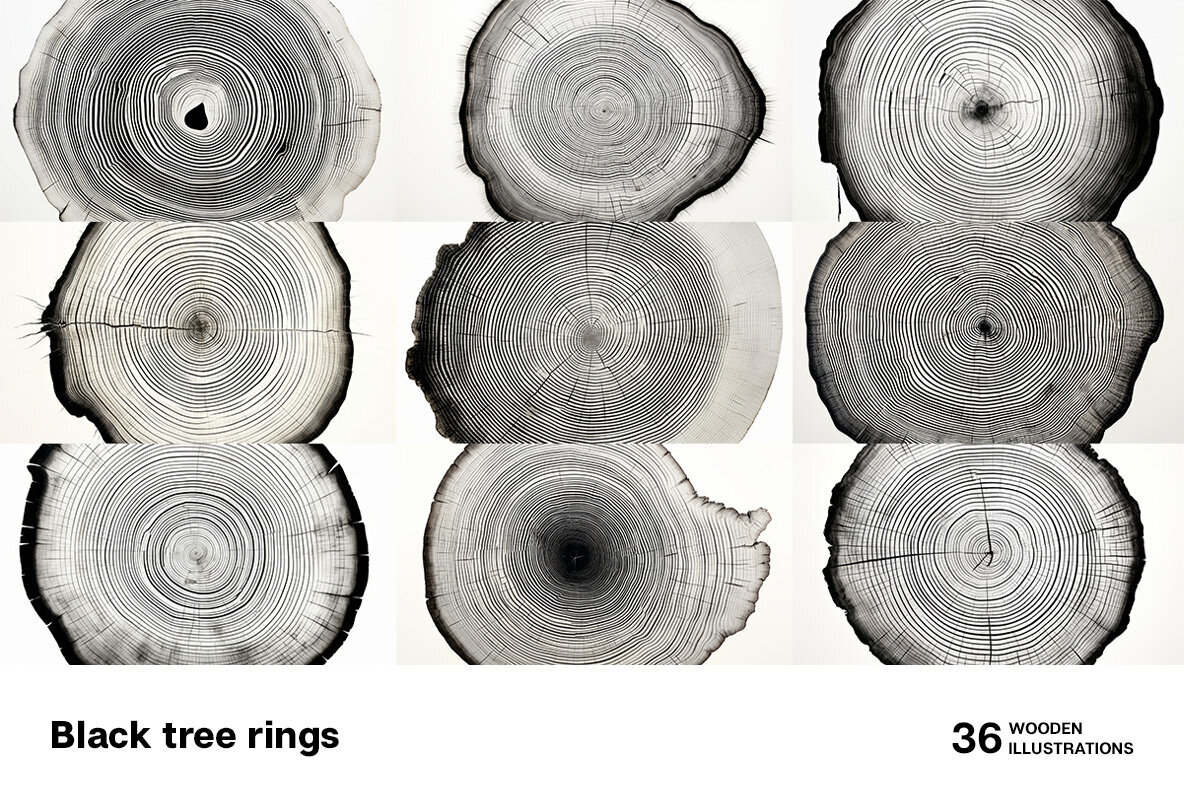 Black tree rings 3
