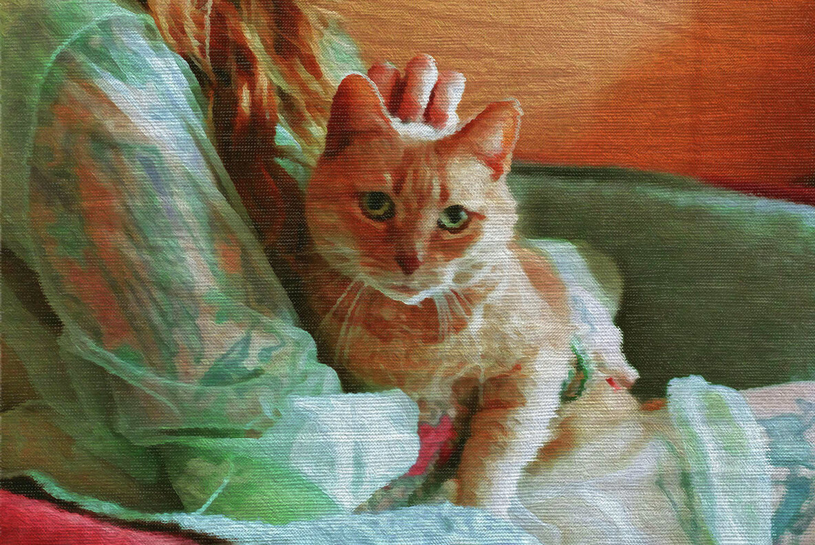 Oil Canvas Photo Effect 4