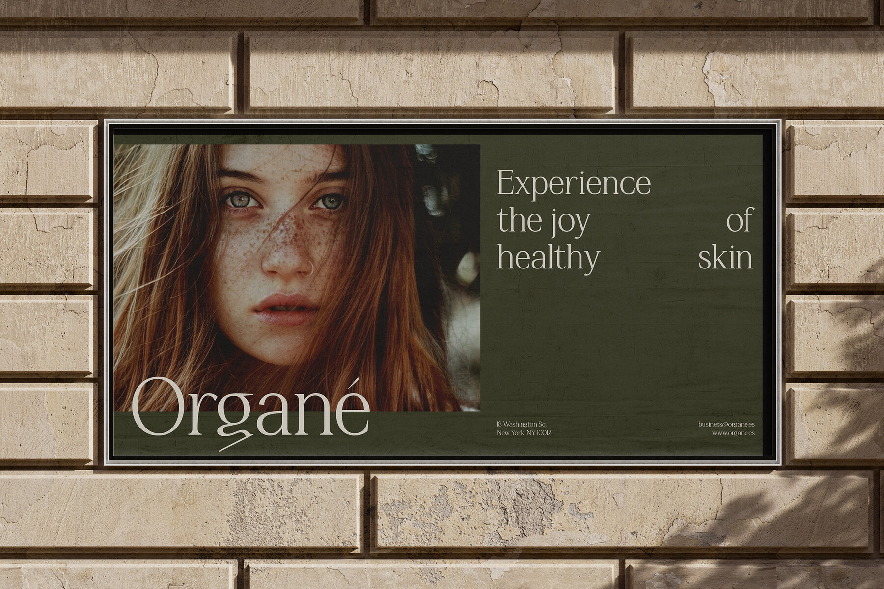 Cosmetics Brand Bundle 5