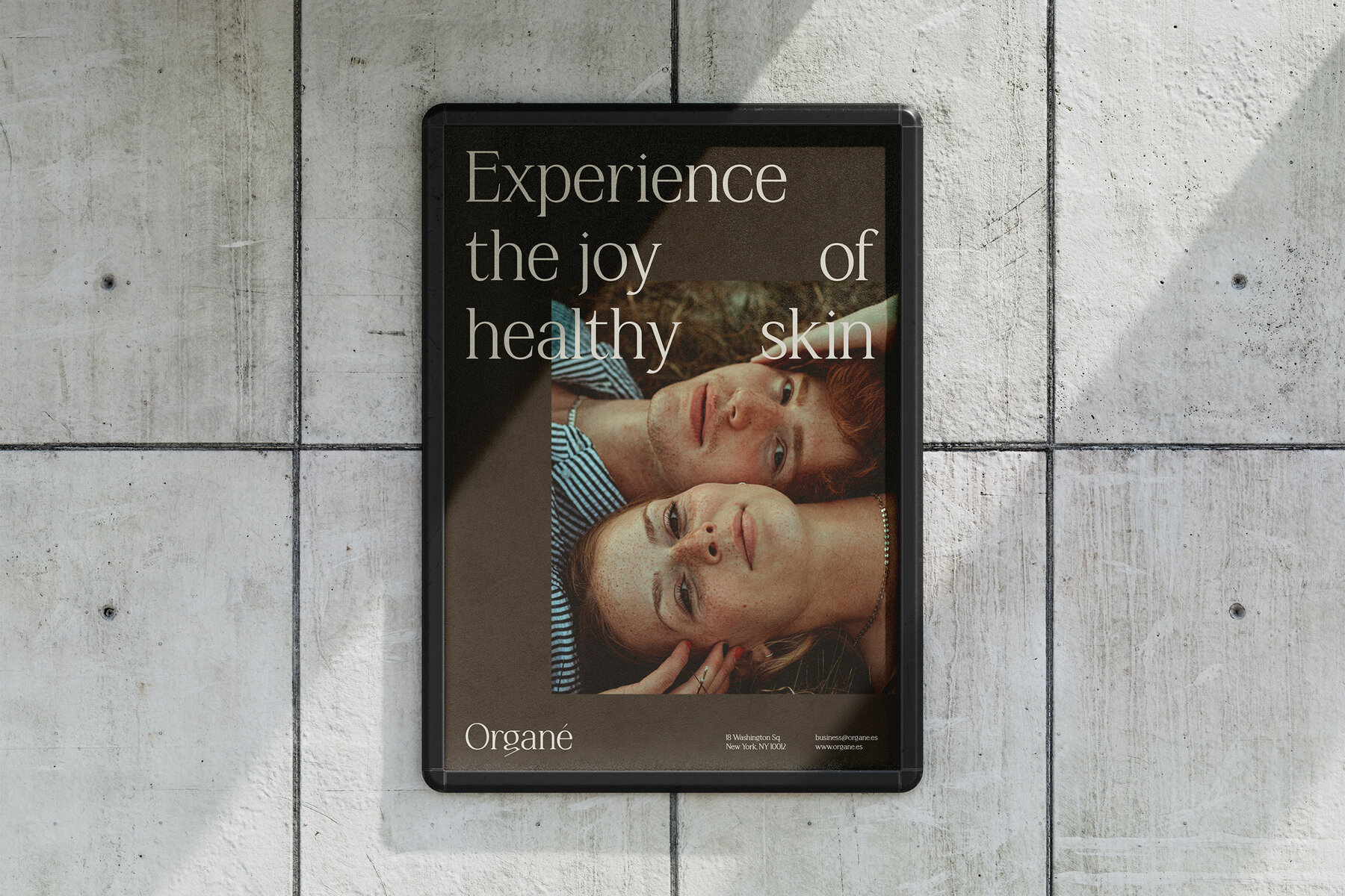 Cosmetics Brand Bundle 8