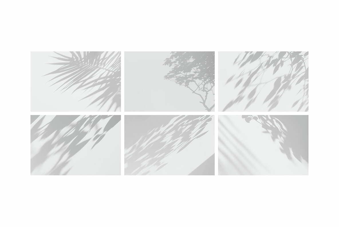 Botanical Shadow Overlays Set 2