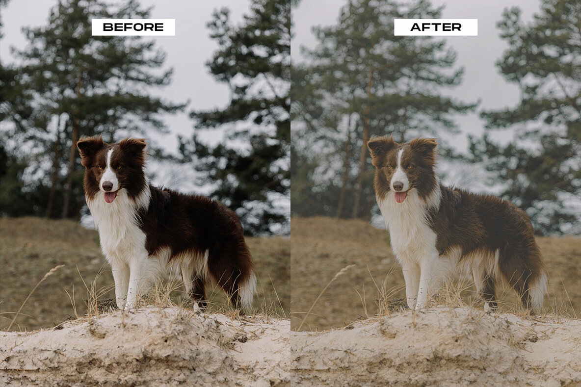 5 Lightroom Film Effect Mobile   Desktop Presets 12