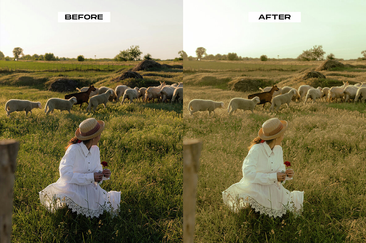 5 Lightroom Film Effect Mobile   Desktop Presets 15