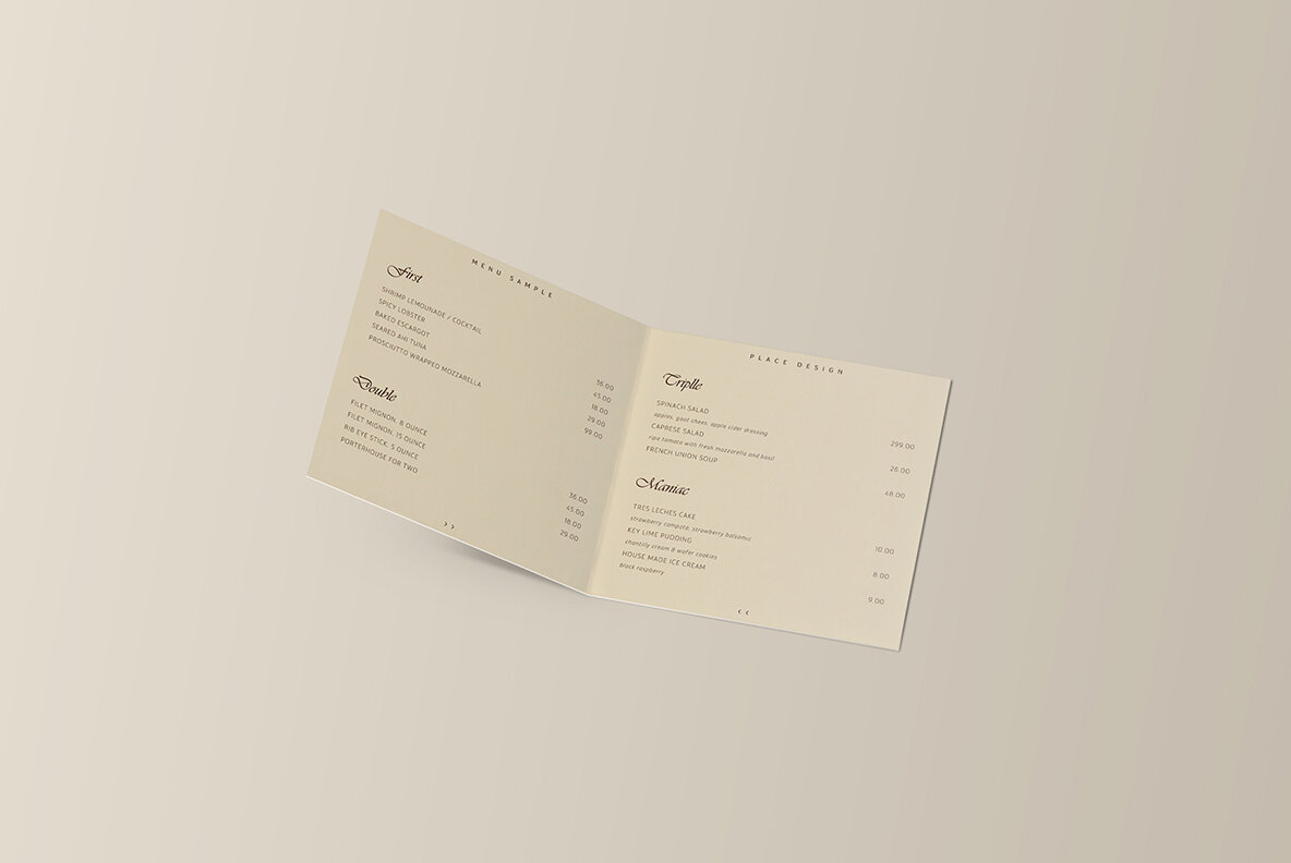 Bifold Brochure Mockup 8 Style 8