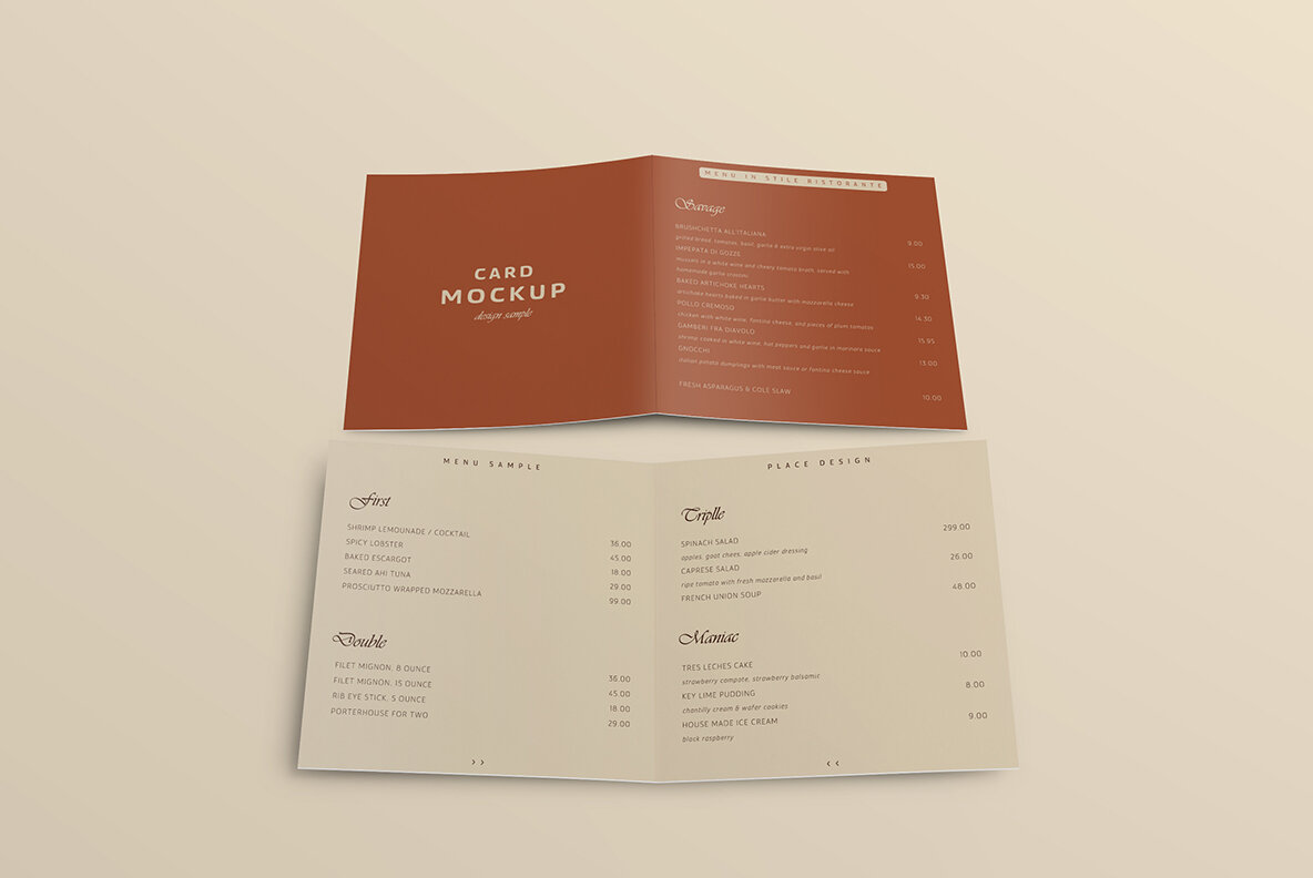 Bifold Brochure Mockup 8 Style 11