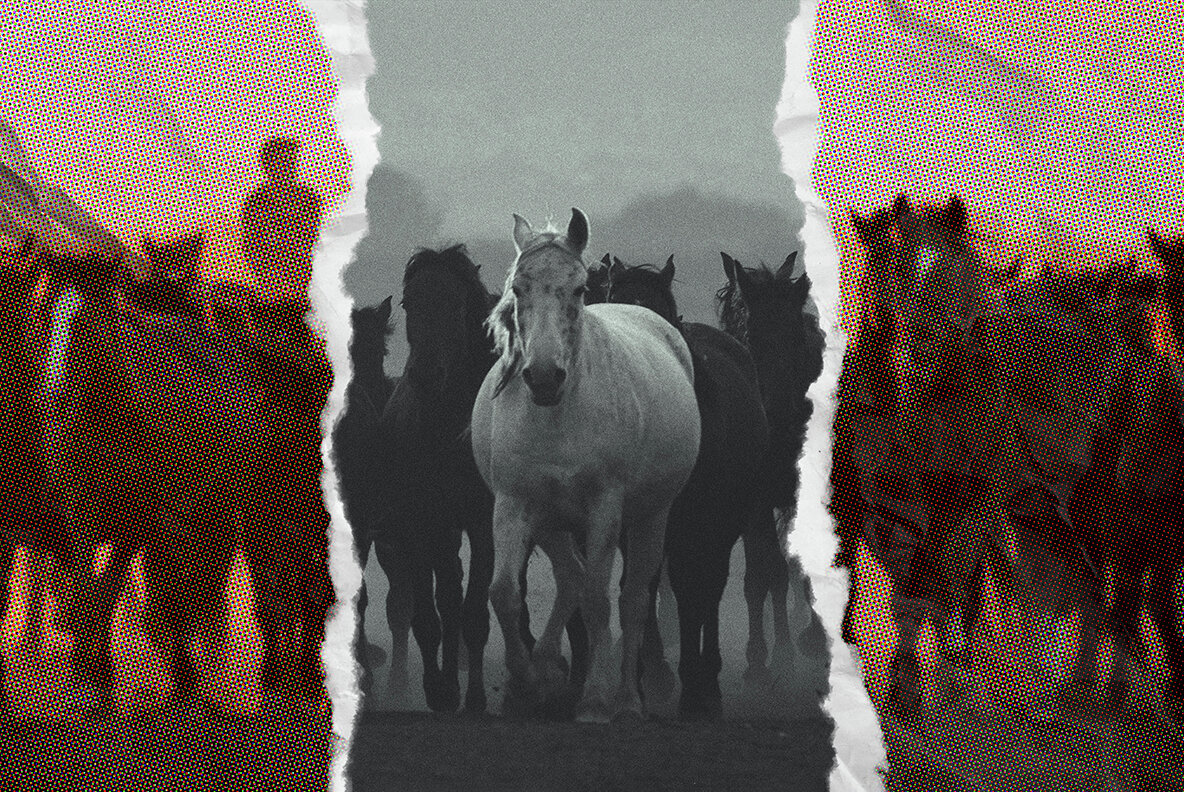 Torn Paper Photo Effect 6