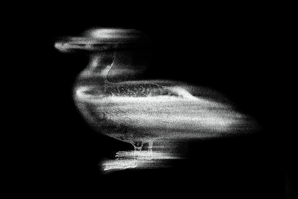 Sandstorm Distort Photo Effect 4