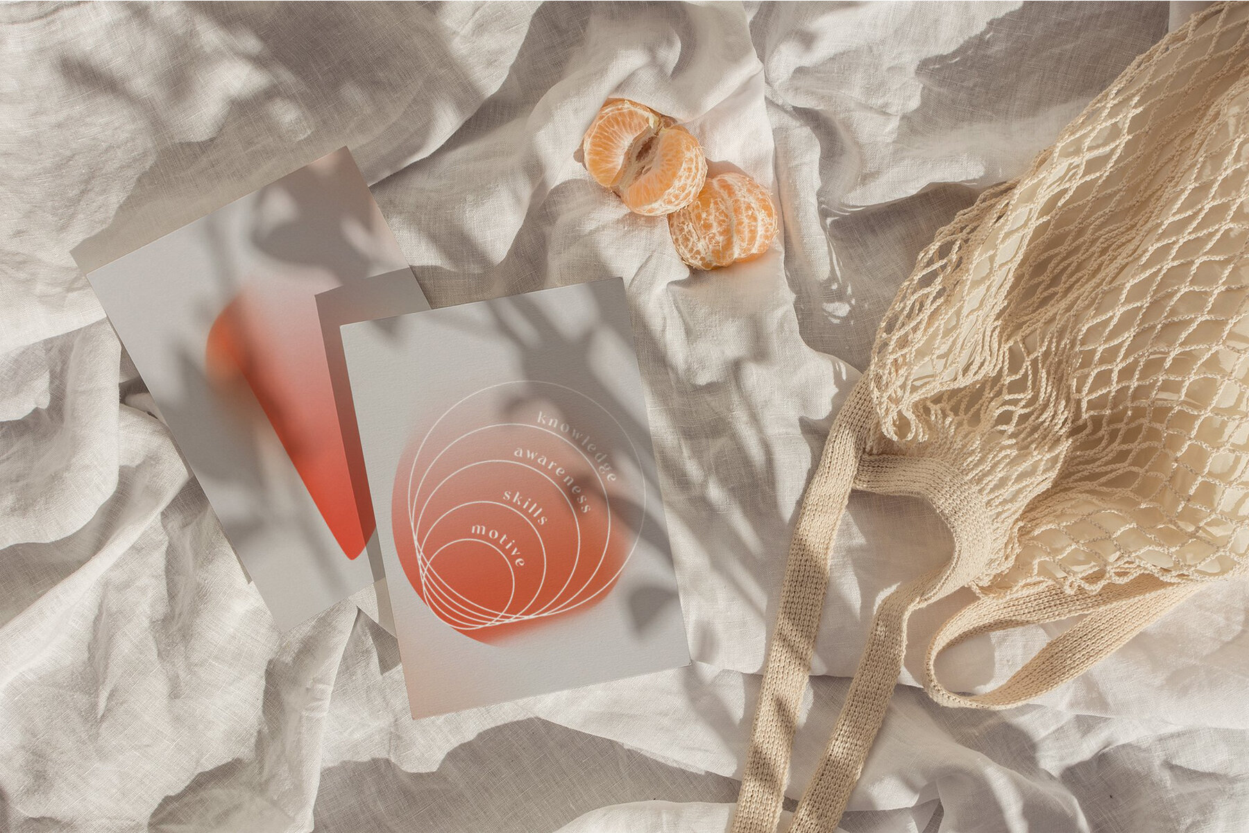 Grainy Gradients  Shapes   More 3