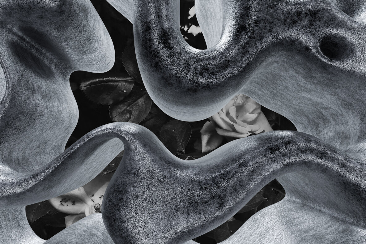 Neuro 2   Neurographic 3D Objects 5