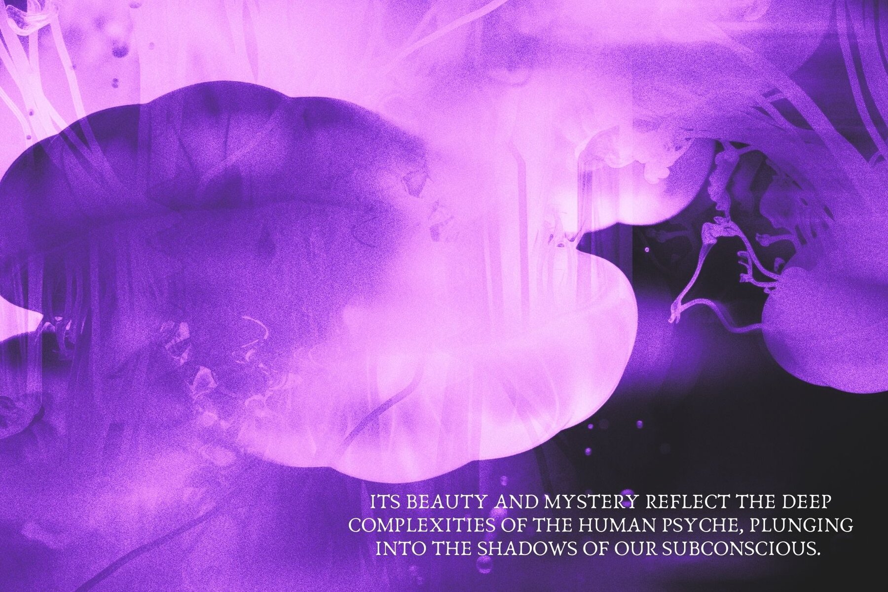 Mind Bending Abyss Blurry Backdrops 6