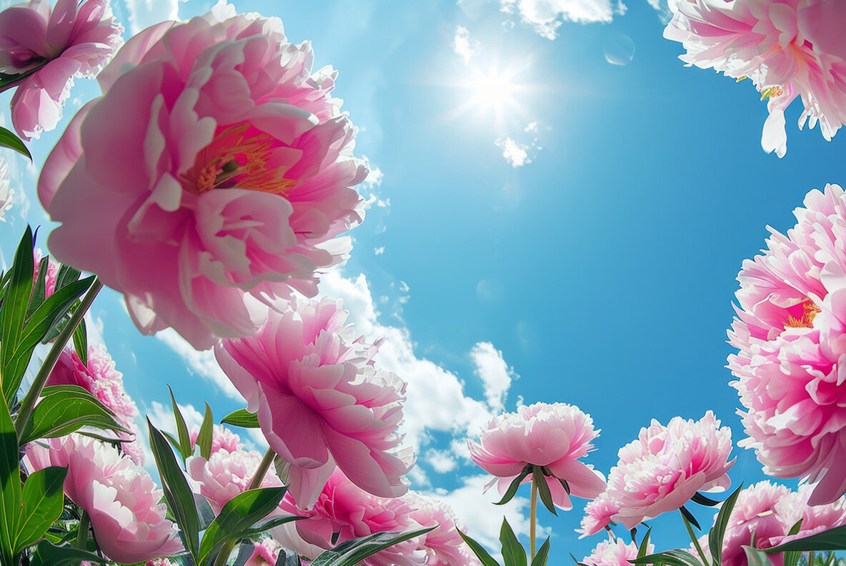 Flowers bottom view 9