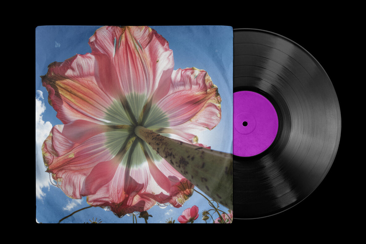 Flowers bottom view 12