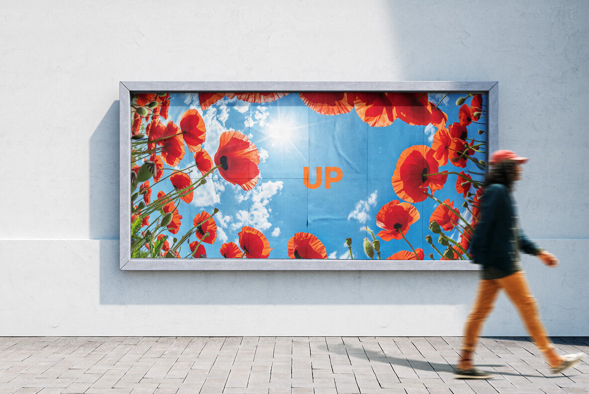 Flowers bottom view 13