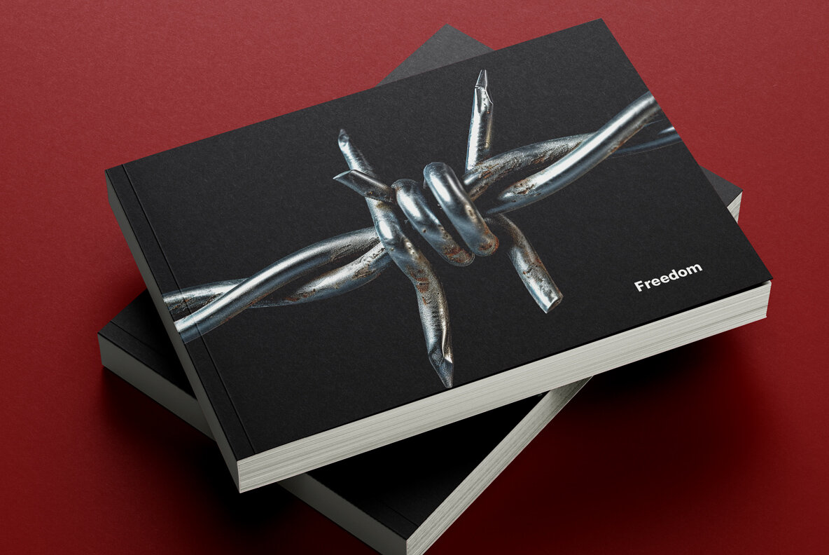 Barbed wire closeup 11