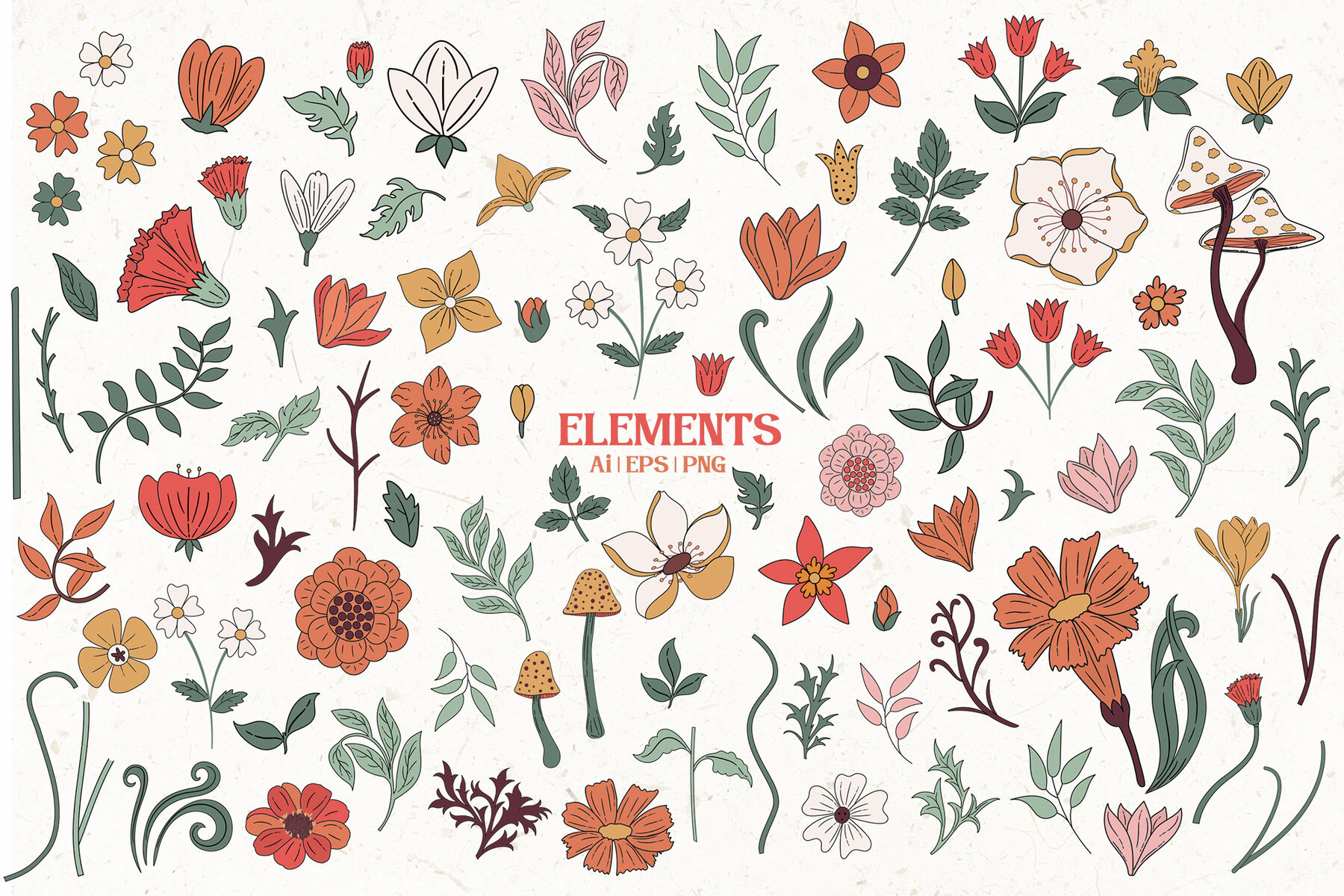 Boho Garden Floral  Pattern   Clipart Collection 9
