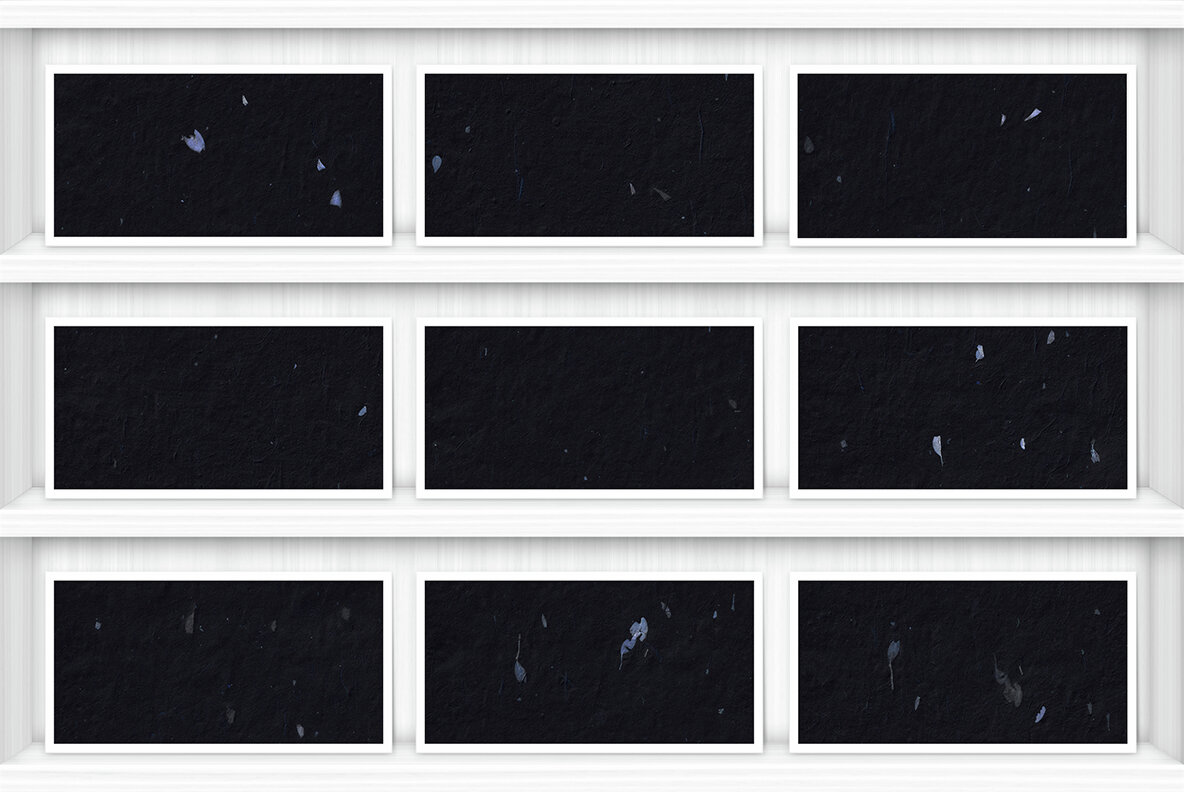 20 Blue Petals Black Paper Textures 9