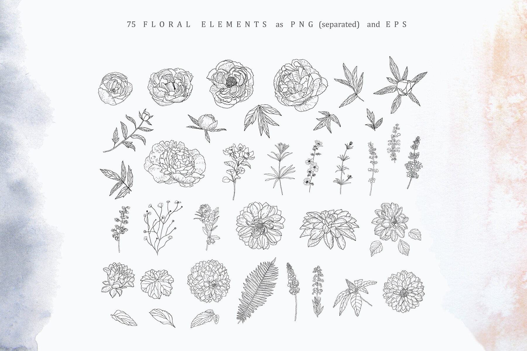 Blush   Navy Blooming Alphabet 2