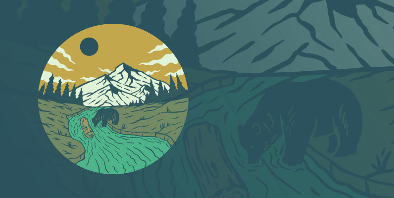 Wild Bear The Explorer