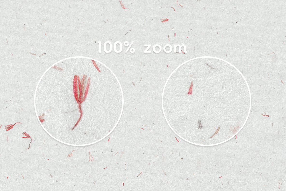 10 Red Flowers Paper Textures Backgrounds 2