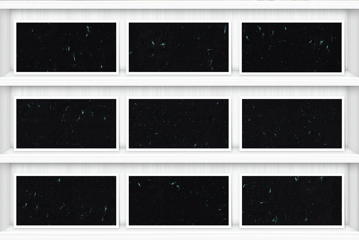 10 Turquoise Flowers Black Paper Texture Backgrounds 9