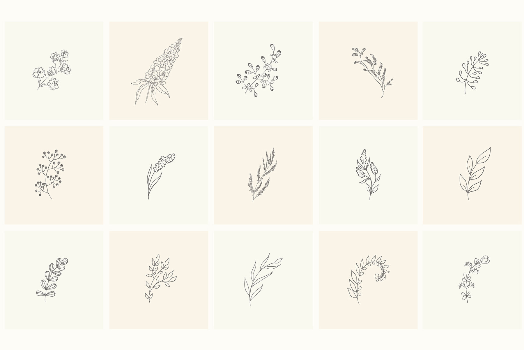 Hand Drawn Floral Elements Frames 2