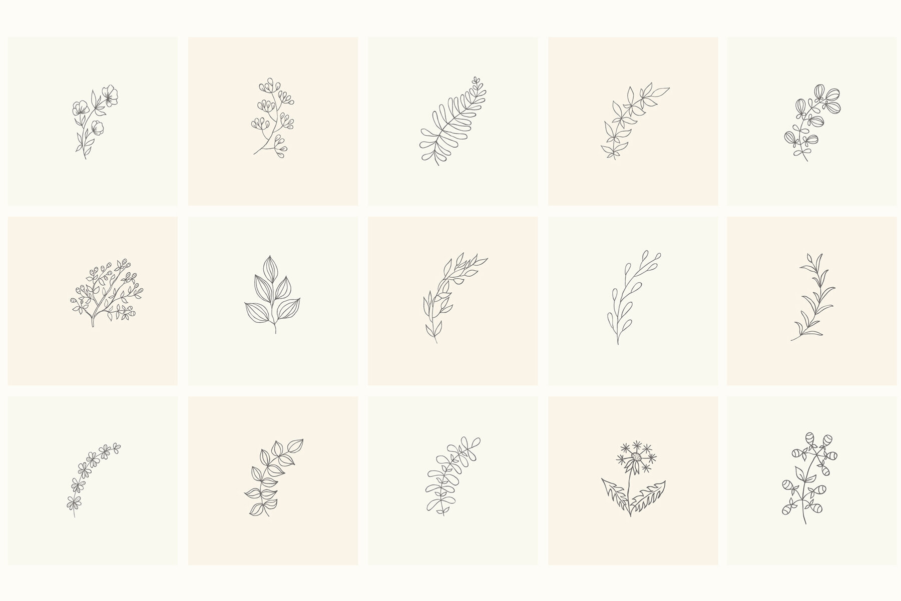 Hand Drawn Floral Elements Frames 3