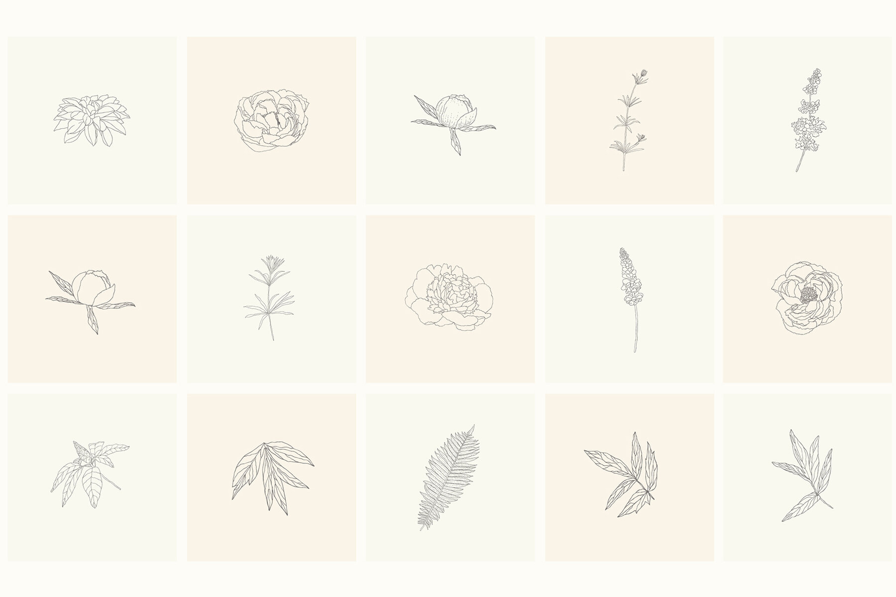 Hand Drawn Floral Elements Frames 5