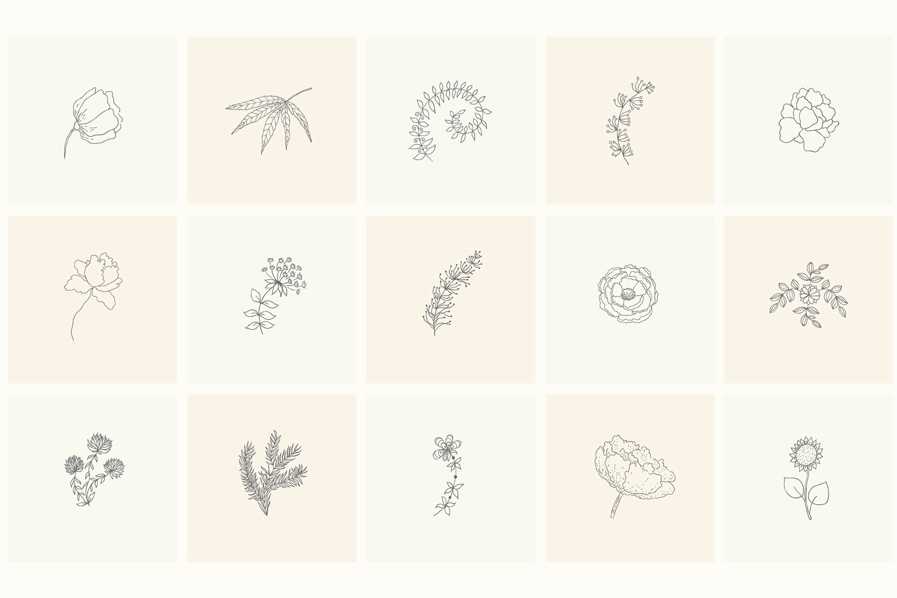 Hand Drawn Floral Elements Frames 6