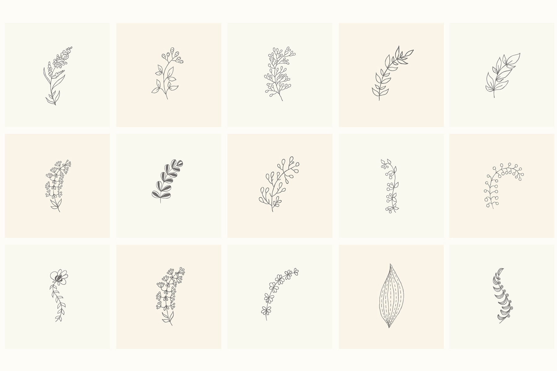 Hand Drawn Floral Elements Frames 7
