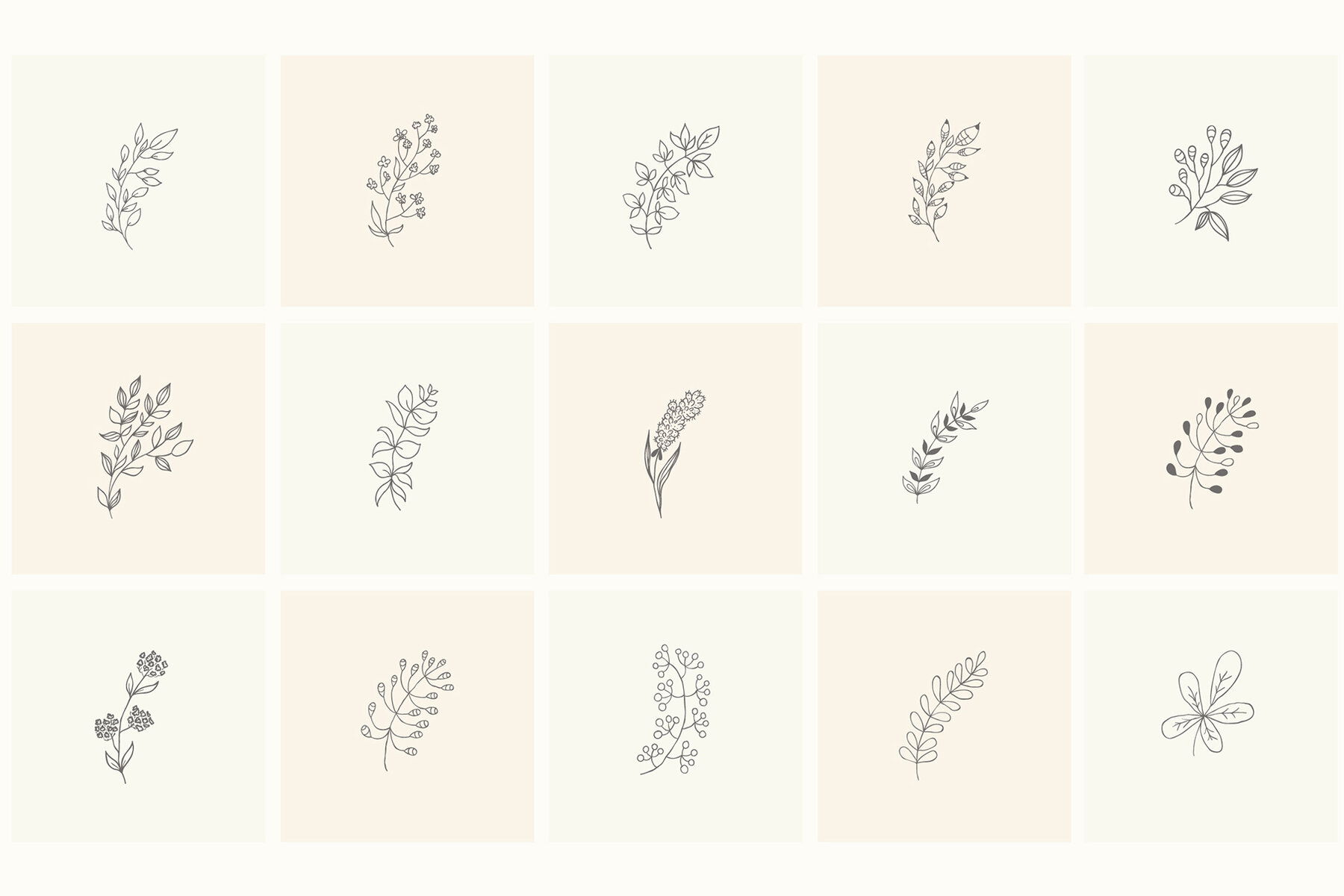 Hand Drawn Floral Elements Frames 8