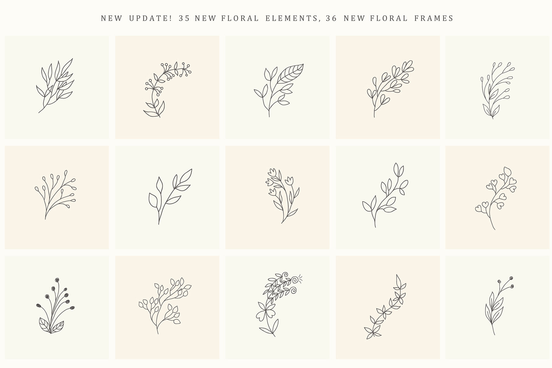 Hand Drawn Floral Elements Frames 15